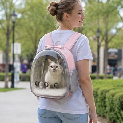 Sac de transport pour Chat