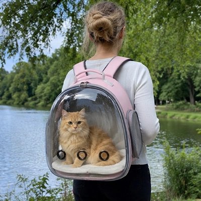 Sac de transport pour Chat