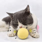 SmartBall™ - Balle intelligente d'apprentissage pour chat - YourFelinity